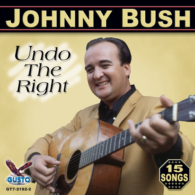 Undo The Right cover