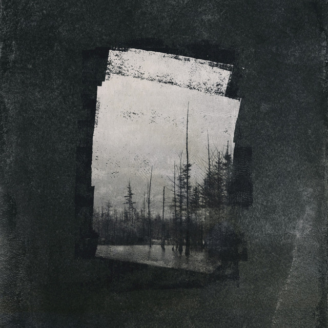 Capture cover
