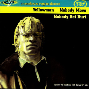 Nobody Move Nobody Get Hurt cover