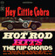 Hey Little Cobra Albumcover