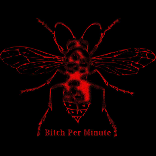 Bitch Per Minute photo