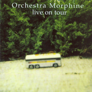 The Night cover