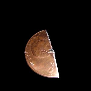 Pig with the Face of a Boy