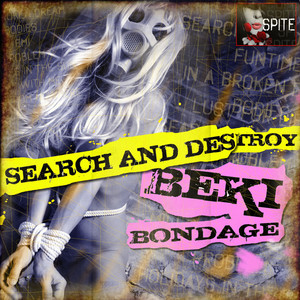 Search and Destroy Albumcover