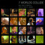 7 Worlds Collide cover