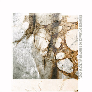 Songs of Faint and Distortion cover