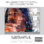 Substantial Evidence (1999-2003) cover