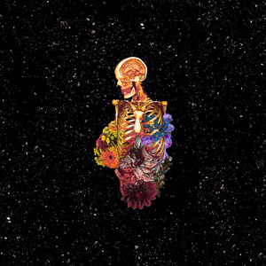 Visceral cover