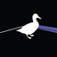 Duckside Of The Moon Albumcover