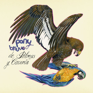 De palmas y cacería cover