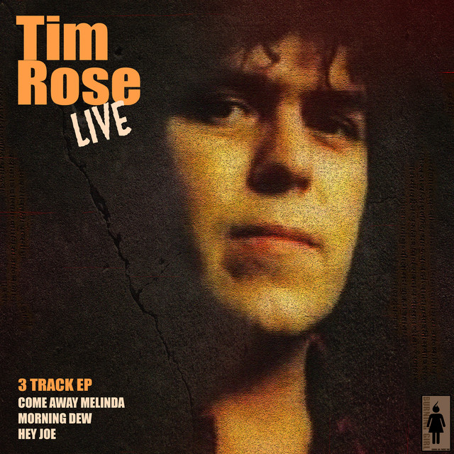 Tim Rose Live cover