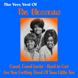 The Very Best of The Blossoms cover
