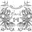 Island 14 cover