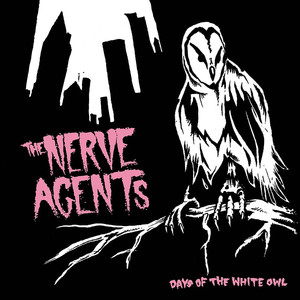 Days of the White Owl cover