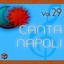 Canta Napoli, Vol. 29 (Basi musicali) Albumcover