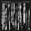 The King Krill cover