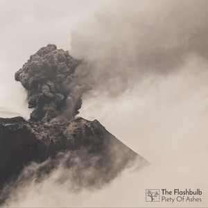 Piety of Ashes cover