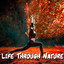 Life Through Nature cover