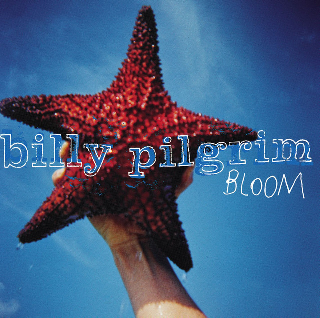 Bloom cover