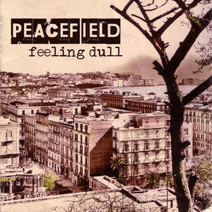 Feeling Dull Albumcover