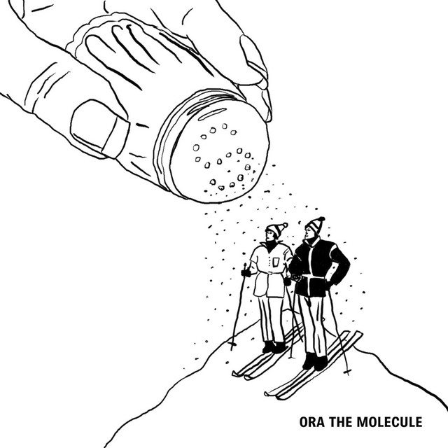 Salé cover