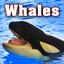 Whales Sound Effects Albumcover