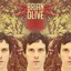 Brian Olive