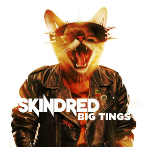 Big Tings cover