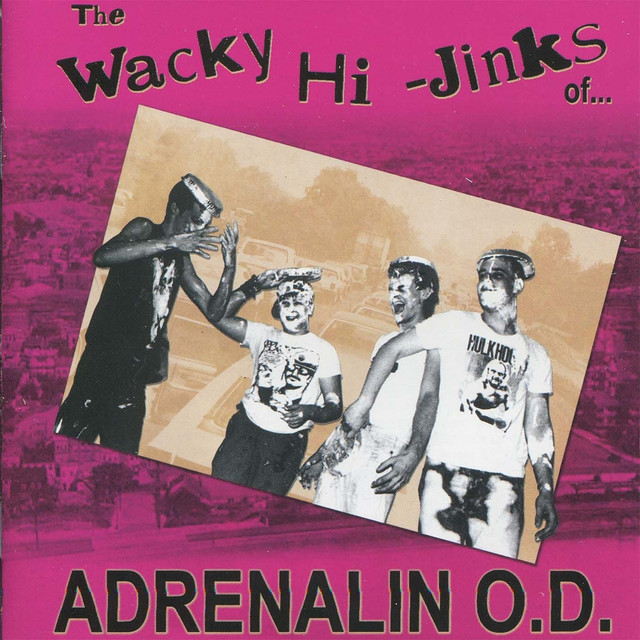 The Wacky Hi-jinks Of... cover