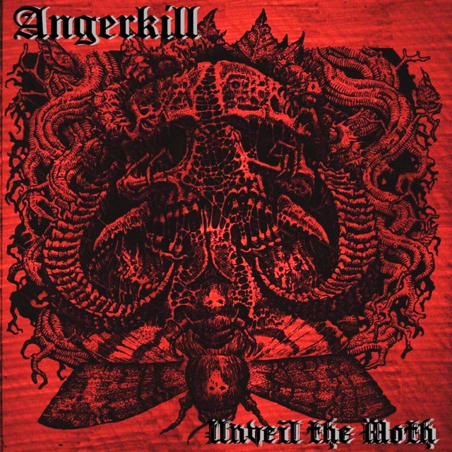 Angerkill Photo