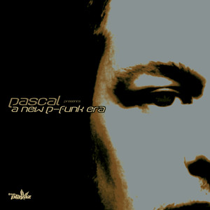 P Funk 2000 cover