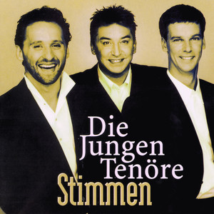 Stimmen (Special Edition) Albumcover