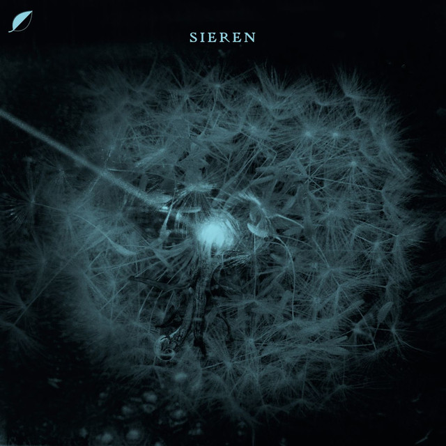 Transients of Light cover art