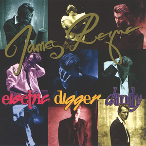 Electric Digger Dandy album