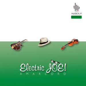 Electric Joe album