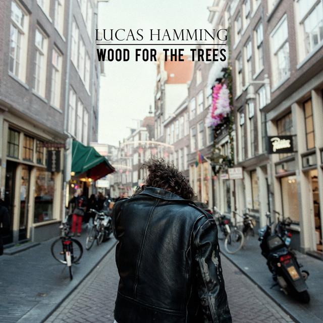 Wood For The Trees (radio Edit) cover