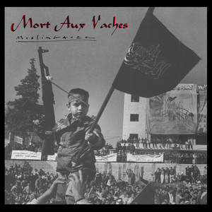 Mort Aux Vaches cover