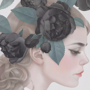 Roses album