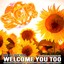 Welcome Remixes EP Albumcover