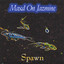 Spawn Albumcover