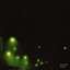 Mirages cover