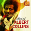 Masters Of The Last Century: Best of Albert Collins cover