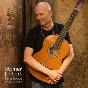 Bare Wood cover