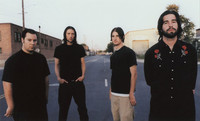 Will Haven Photo