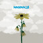 Mmhmm10 cover