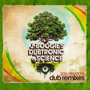 Soul Vibrations Dub Remixes album