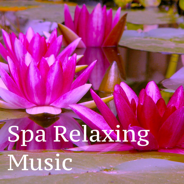 Spa Relaxing Music: Sounds of Nature for Soothing Massage at Spa, New Age Music for Meditation & Yoga Albumcover