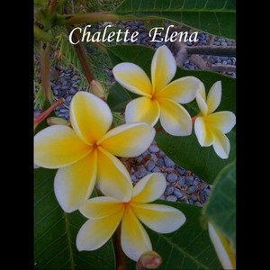 Chalette Elena Hodge