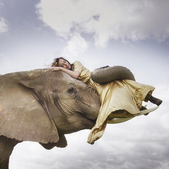 Musik Artist Annakin