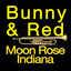 Moon Rose Indiana (Original Artists Original Songs) cover